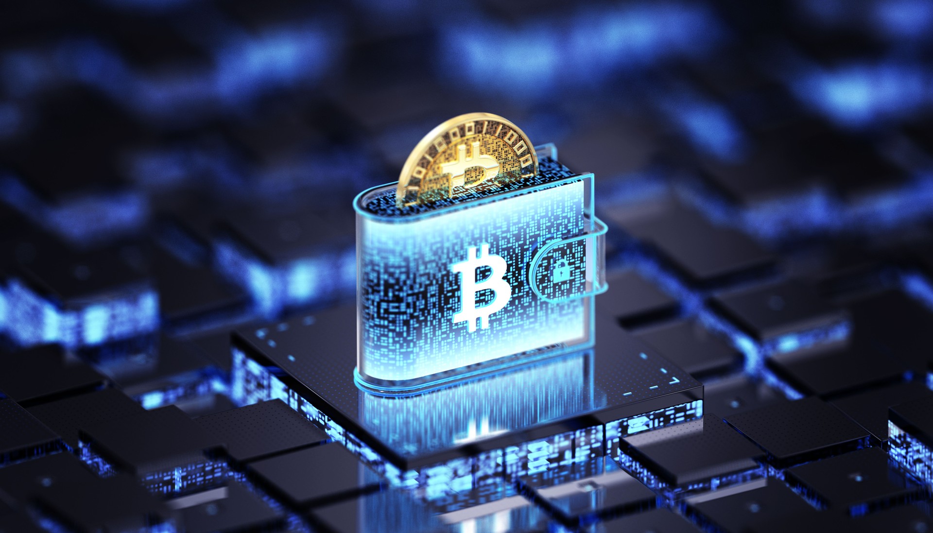 Crypto Wallet - Cryptocurrency Security Concepts